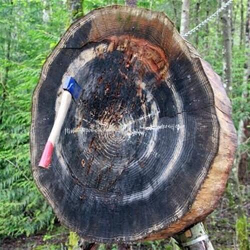 axe in board axe in board